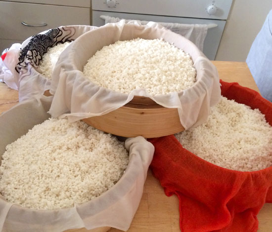 オーストラリアで 米麹 作ってみる 糀づくりワークショップ体験記 パースで手作りざんまい